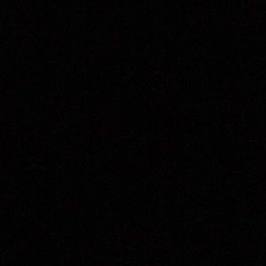 Meet your Posher, Noodle